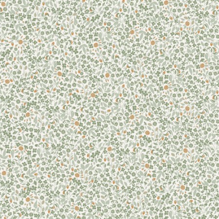 Bild på Olivia - OLI604