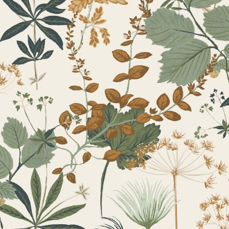 Bild på Olivia - OLI003