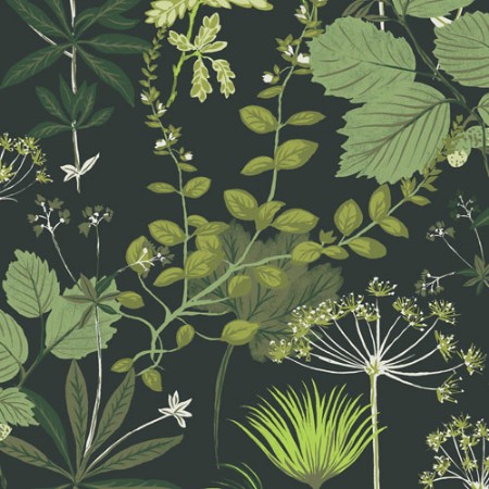 Bild på Olivia - OLI002