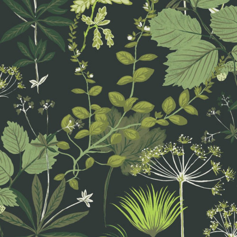 Bild på Olivia - OLI002