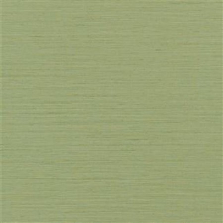 Picture of BRERA GRASSCLOTH PERIDOT - PDG1120/15