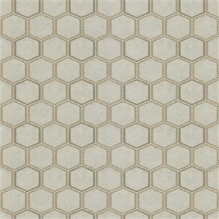 Picture of MANIPUR OYSTER - PDG1121/03