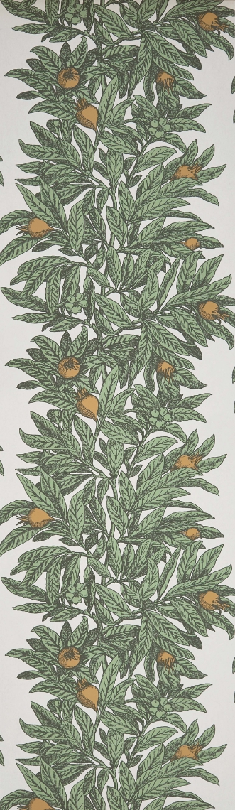 Afbeeldingen van Medlar - W7458-04