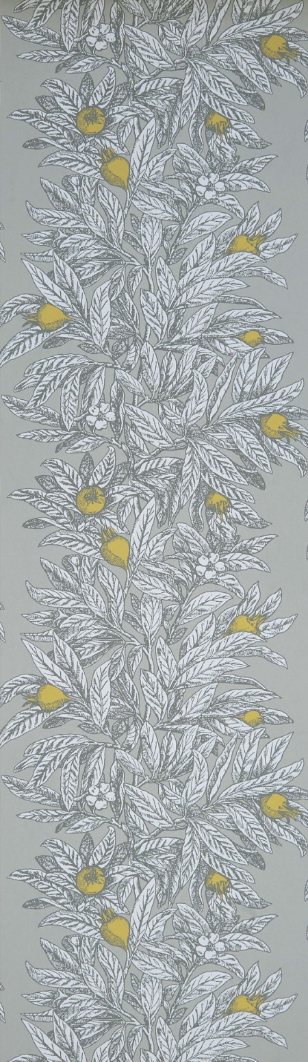 Afbeeldingen van Medlar - W7458-02