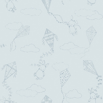 Image de Up & Away -7461