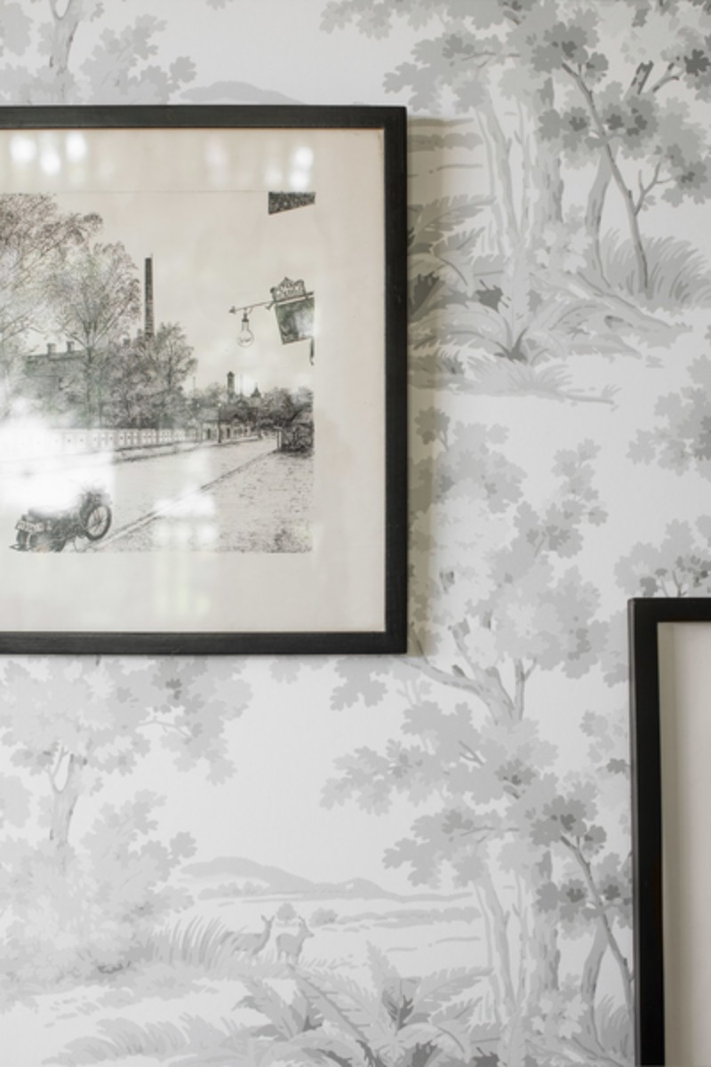 Picture of Countryside Morning - 7677