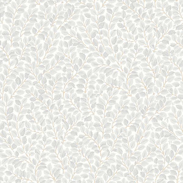 Picture of Hazel - 7661