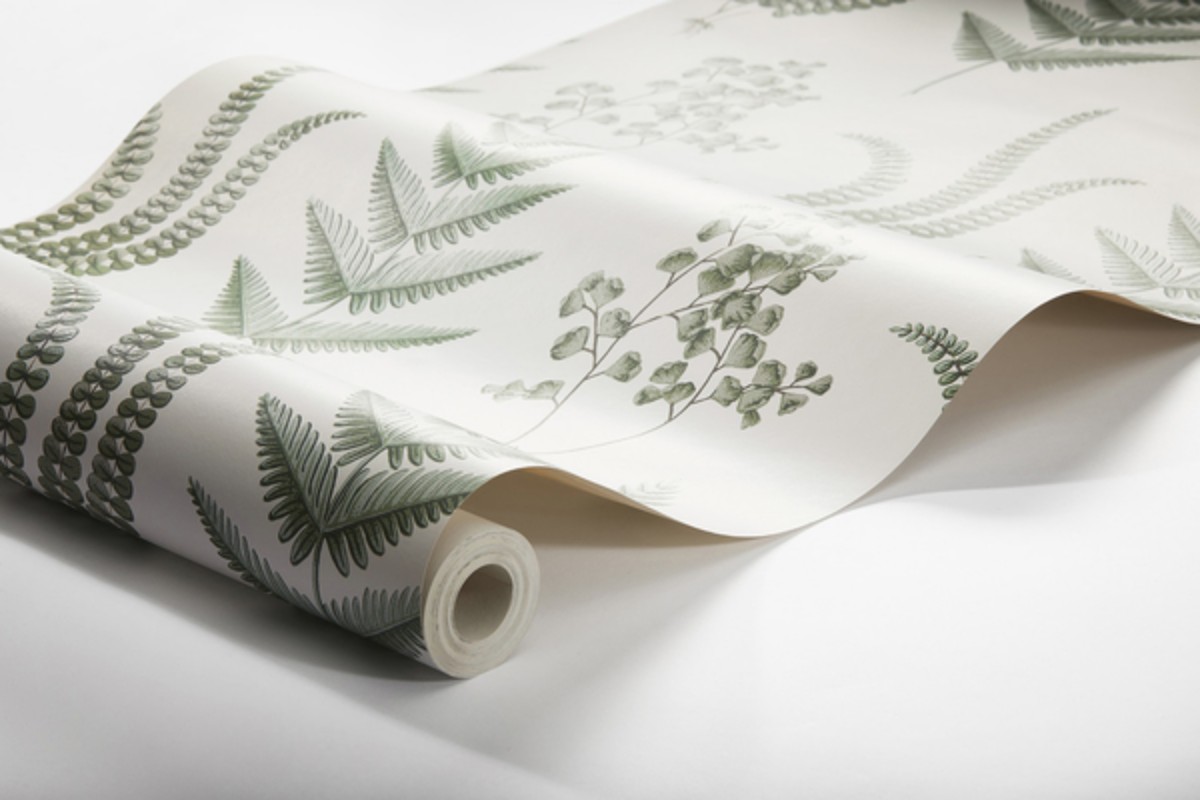 Image de Herba - 7657