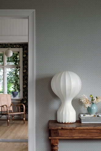 Image de Daisy - 7655