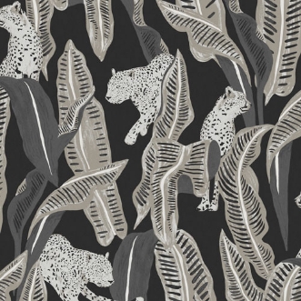 Bild på Jagar Midnight - OMB103