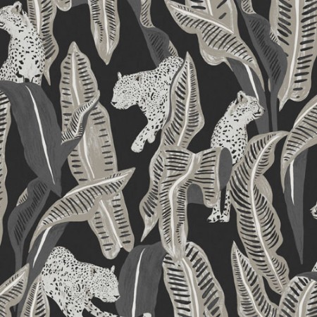 Bild på Jagar Midnight - OMB103