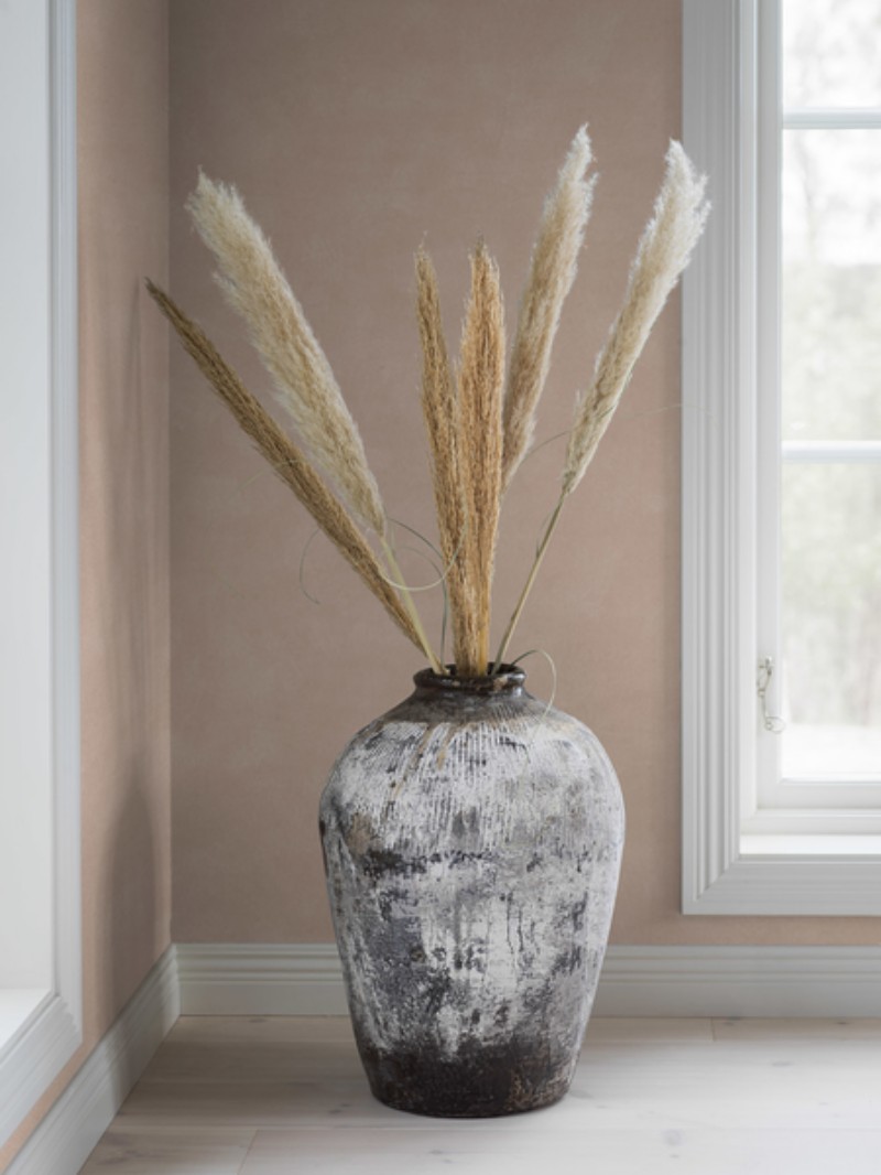 Afbeeldingen van Shades-Terra - 7263