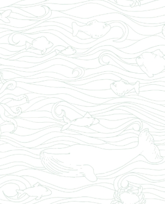 Bild på Mini Me - 399041