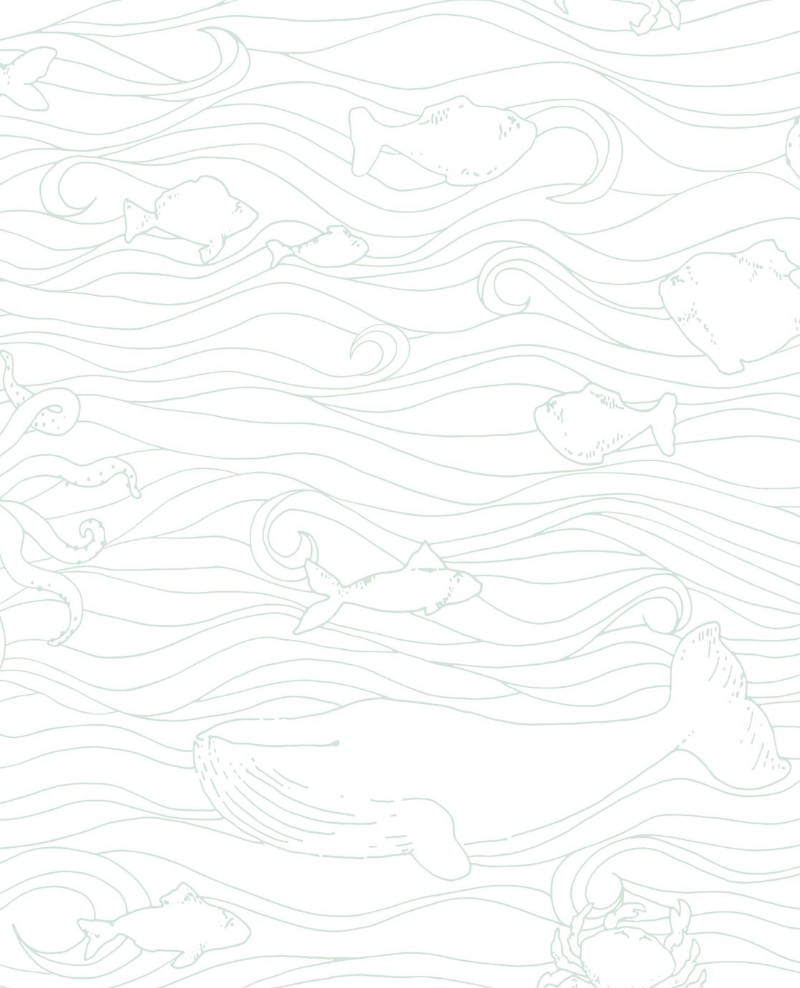 Bild på Mini Me - 399041