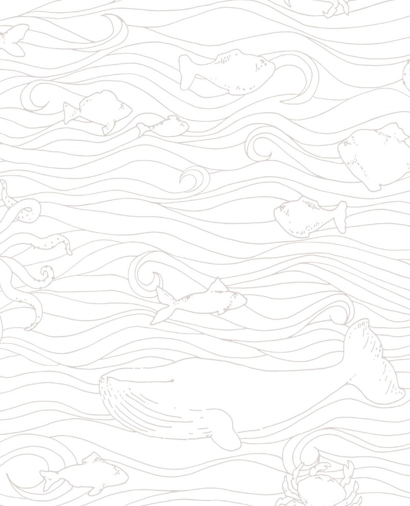 Afbeeldingen van Mini Me - 399040