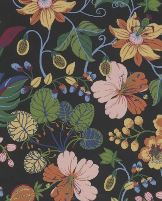 Bild på Carmen - 392504