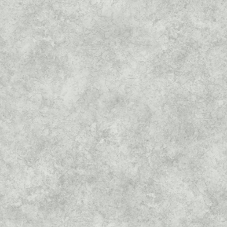 Bild på Royal Silver - 4893