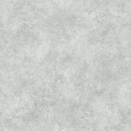 Image de Royal Silver - 4893