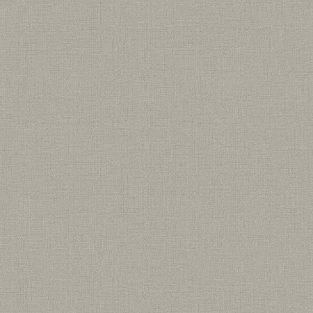 Image de Silk Brown - 4889