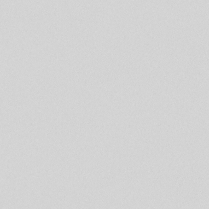 Image de Silver Grey - 4871