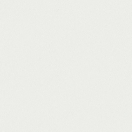 Image de Smokey Grey - 4869