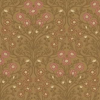 Picture of Bellis - 14018