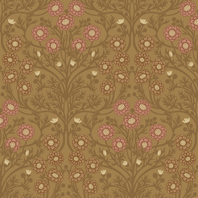 Picture of Bellis - 14018