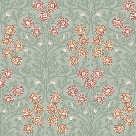 Obrázok z Bellis - 14017