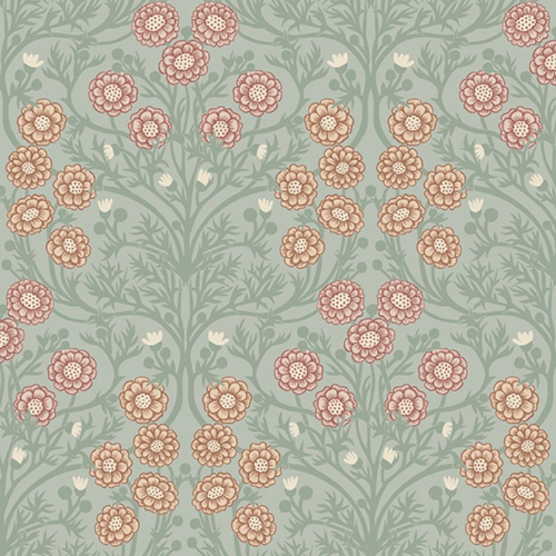 Obrázok z Bellis - 14017