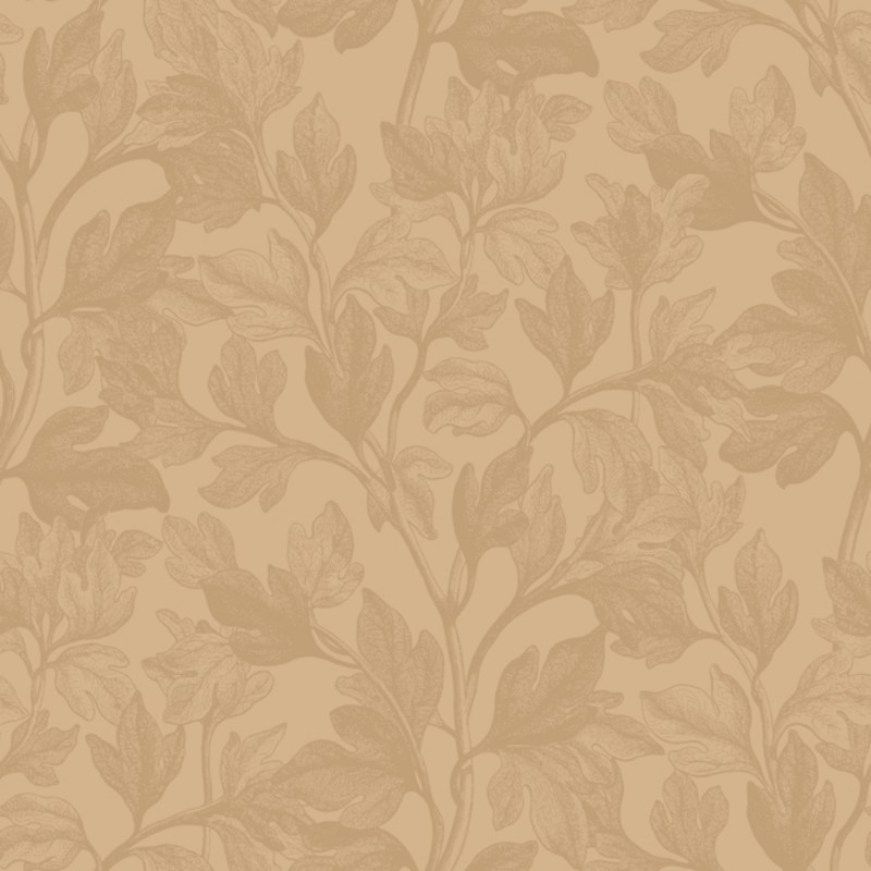 Picture of Fig - 8976