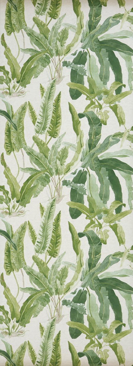 Afbeeldingen van Benmore - NCW4393-02