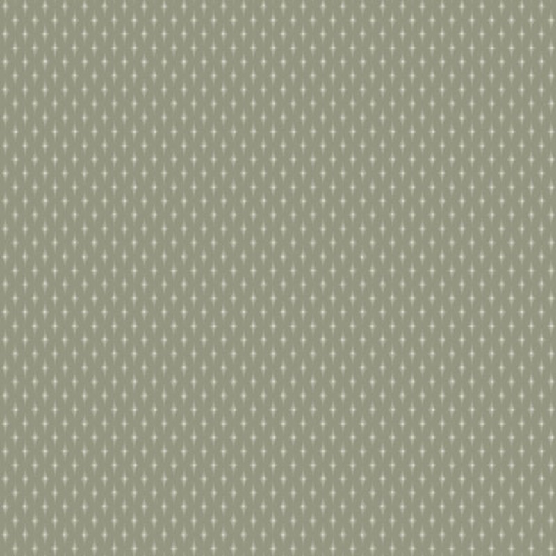 Bild på Annuell - 11014