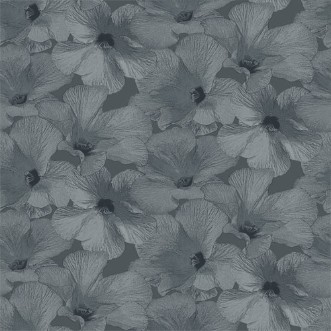 Picture of Annuell - 11002