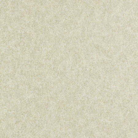 Bild på Shagreen - 312908