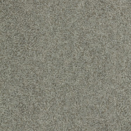 Bild på Shagreen - 312907