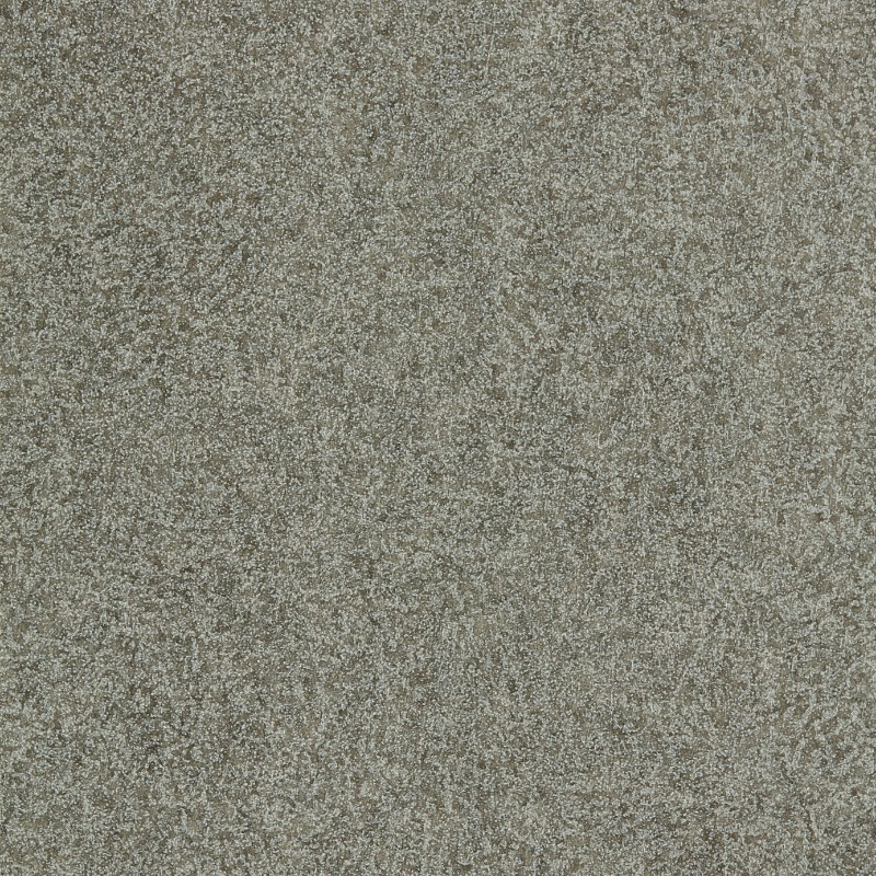 Image de Shagreen - 312907