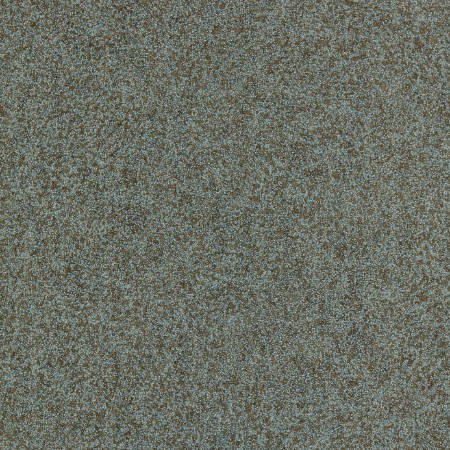 Bild på Shagreen - 312906