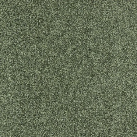 Bild på Shagreen - 312905