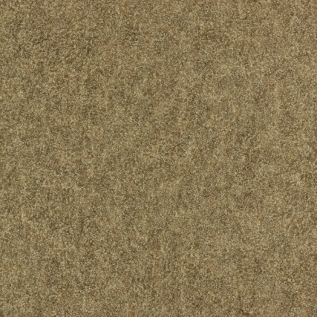 Bild på Shagreen - 312904