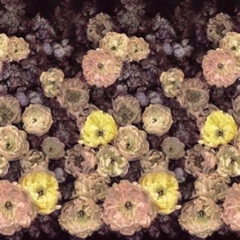 Afbeeldingen van LE POEME DE FLEURS ROSEWOOD - PDG1107/01