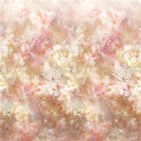 Image de FLEUR DE NUIT PALE CORAL - PDG1106/01