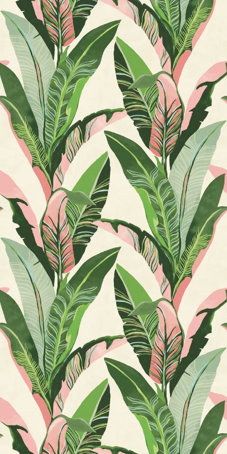 Picture of Vivid - 384601