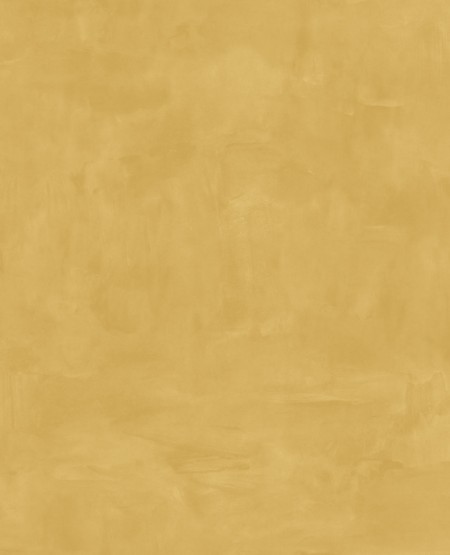 Picture of Vivid - 384556