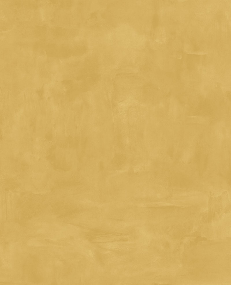 Picture of Vivid - 384556