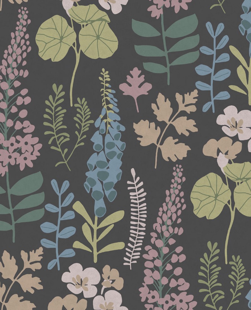 Picture of Vivid - 384535