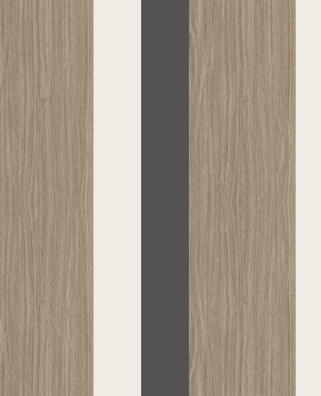 Picture of Stripes+ - 377033