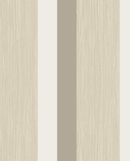 Picture of Stripes+ - 377030