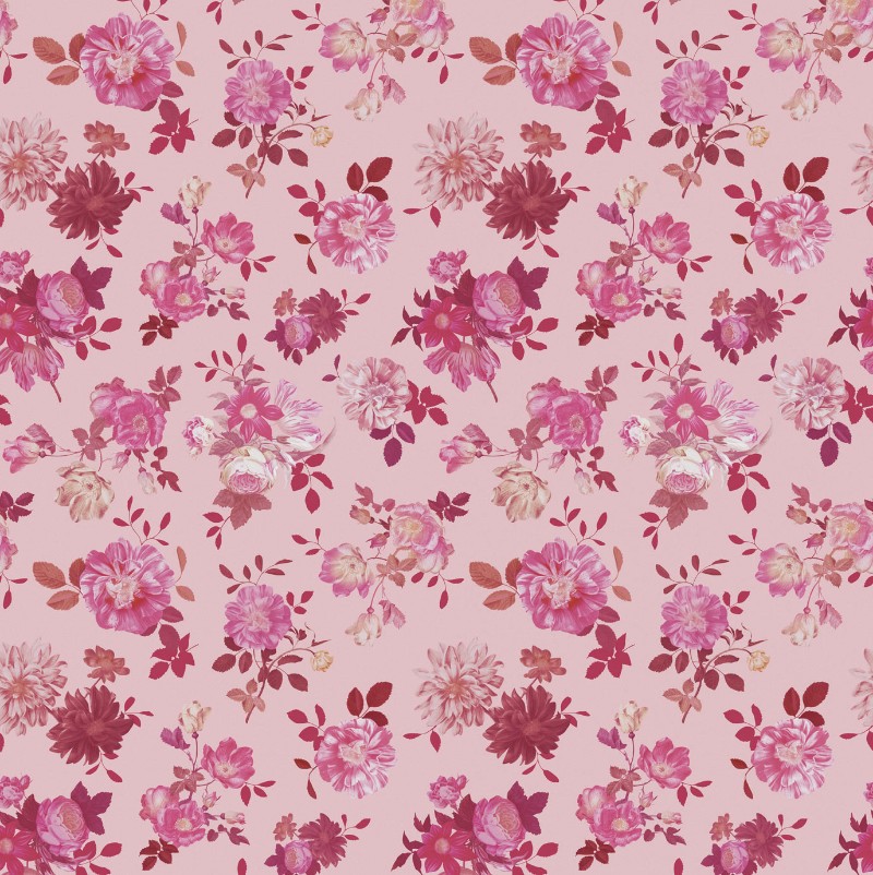 Picture of Rice 2 - 383614