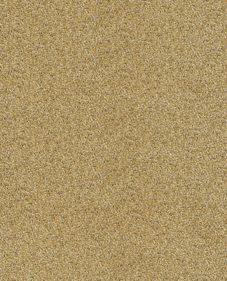 Picture of Rice 2 - 383582