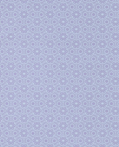 Picture of Rice 2 - 383574